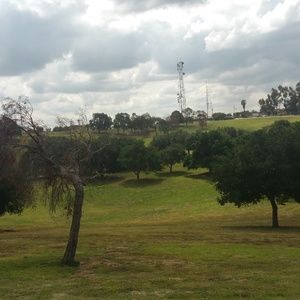 Meet your Posher, Delicia